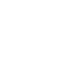 Web
